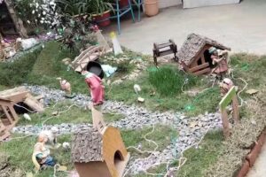 बसंत बिहार गोरखपुर