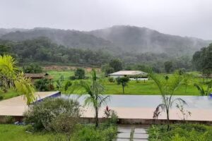 डांडेली डार्क फॉरेस्ट