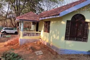 ग्रीन कैंडी फार्म्स