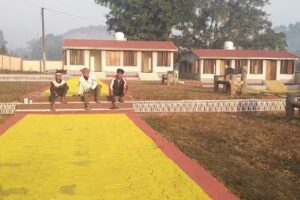इको कॉटेज बेलघर