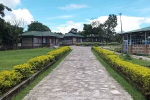 पेट थीम रिसॉर्ट