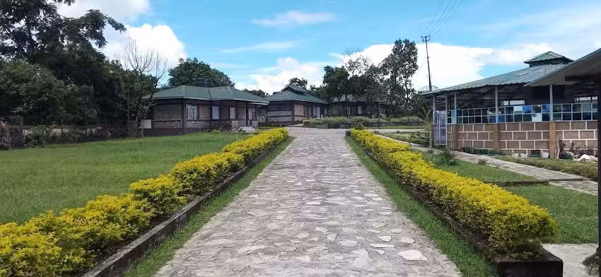 पेट थीम रिसॉर्ट