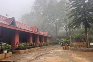 फॉरेस्ट गेस्ट हाउस