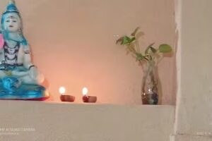 रूम्स , फ्लैट फॉर ऑल ( फैमिली , गर्ल्स एंड बॉयज)