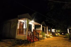 थे जंगल वुड्स रिसॉर्ट – पेंच