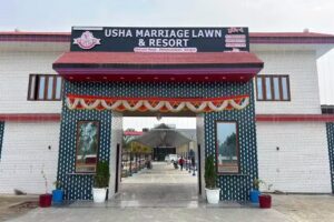 usha marriage lawn